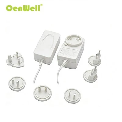 Adaptador de enchufe intercambiable de 48W 2A 24V 1.5A con UE EE. UU. Reino Unido AU CCC